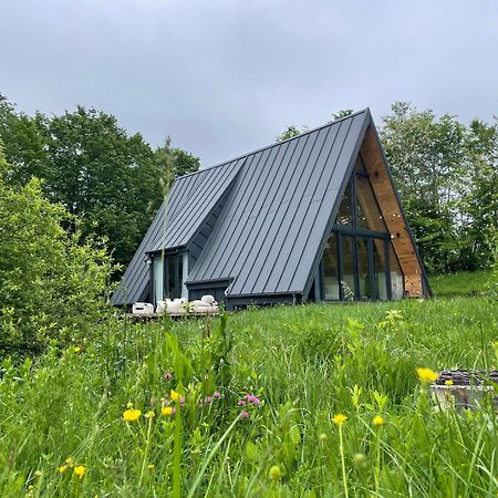 Hotel Cabana A-Frame Cricov 9 Valea Lunga-Ogrea Zewnętrze zdjęcie