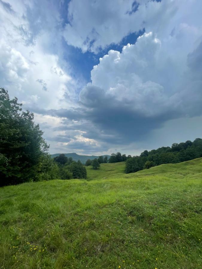 Hotel Cabana A-Frame Cricov 9 Valea Lunga-Ogrea Zewnętrze zdjęcie