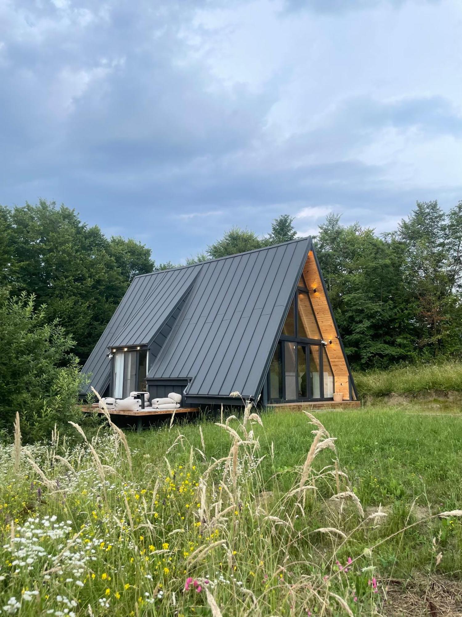 Hotel Cabana A-Frame Cricov 9 Valea Lunga-Ogrea Zewnętrze zdjęcie