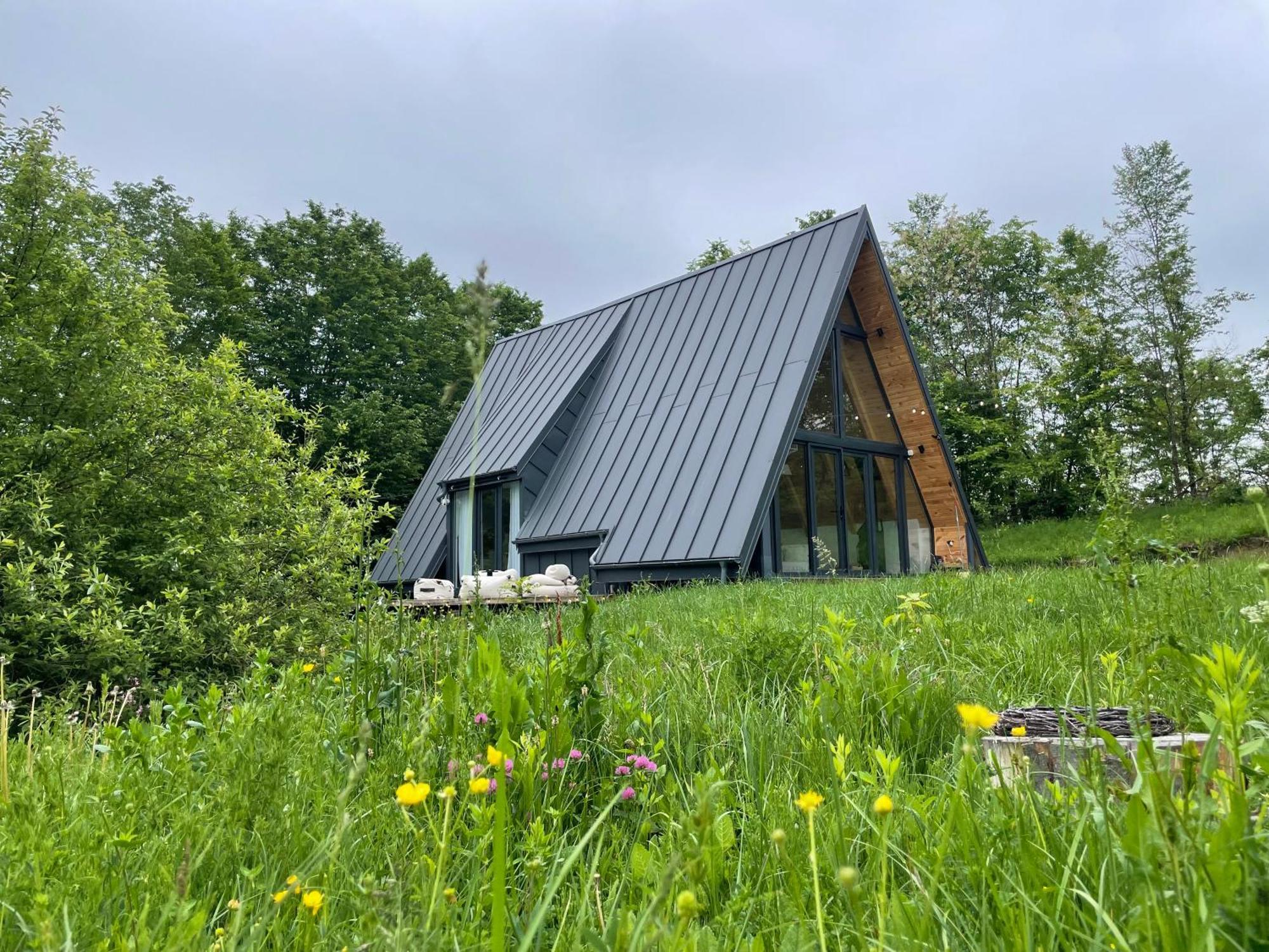 Hotel Cabana A-Frame Cricov 9 Valea Lunga-Ogrea Zewnętrze zdjęcie